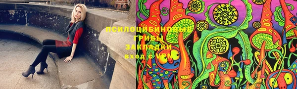 кокс Инсар