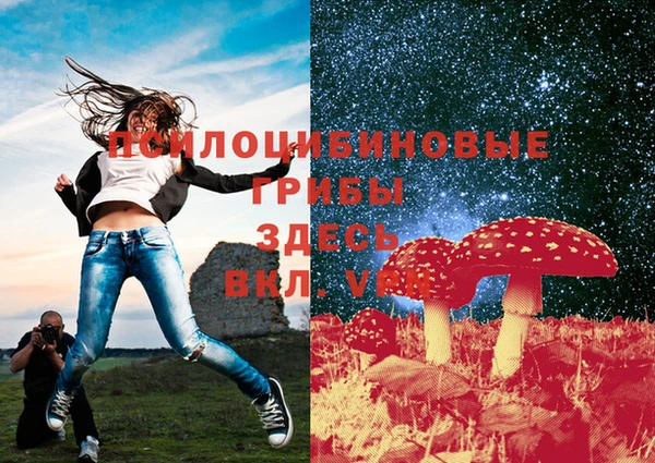бошки Лихославль