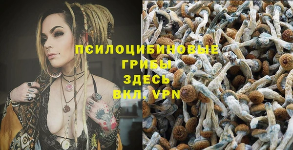 МДПВ Ладушкин
