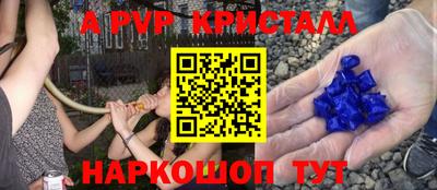 прущие грибы Краснознаменск