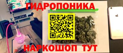прущие грибы Краснознаменск