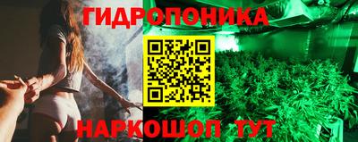 амф Краснодар