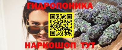 прущие грибы Краснознаменск