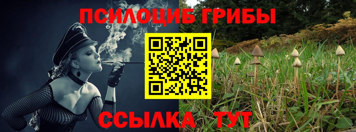 Галлюциногенные грибы ЛСД Югорск